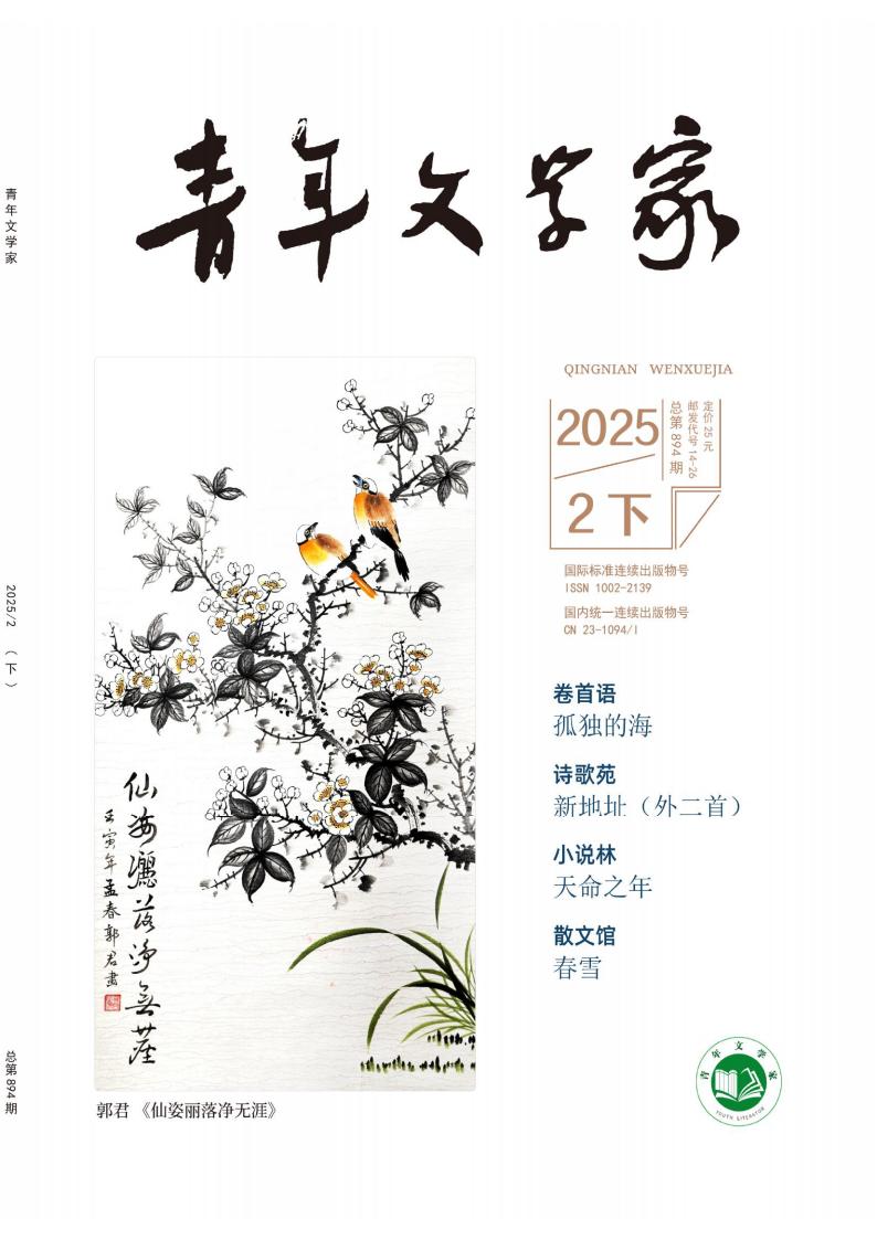 青年文学家杂志封面