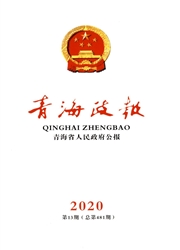 青海政报杂志封面