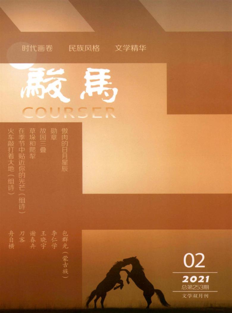 骏马杂志封面